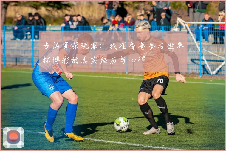 专访资深玩家:我在香港参与世界杯博彩的真实经历与心得