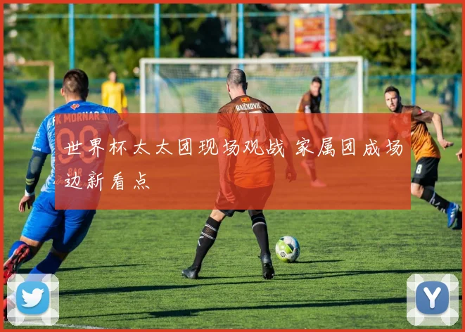 世界杯太太团现场观战 家属团成场边新看点