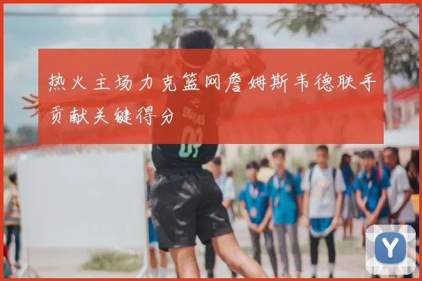 热火主场力克篮网詹姆斯韦德联手贡献关键得分
