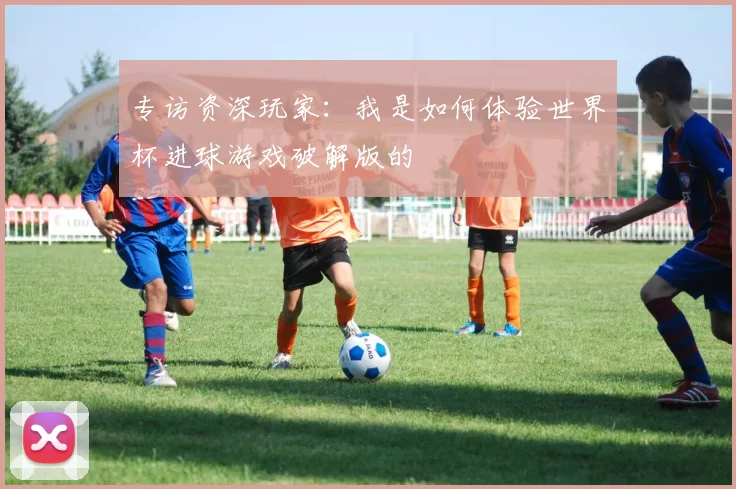 专访资深玩家：我是如何体验世界杯进球游戏破解版的