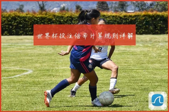 世界杯投注倍率计算规则详解