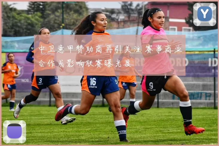 中卫意甲赞助商再引关注 赛事商业合作或影响联赛曝光度
